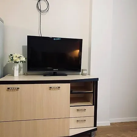 Comfortable Studio In A Residential Building Apartment