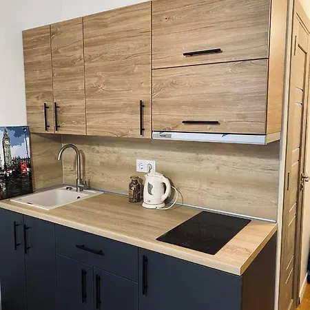 Comfortable Studio In A Residential Building Apartment *
